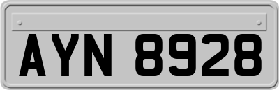 AYN8928