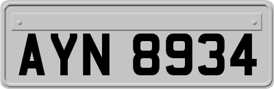 AYN8934