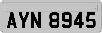 AYN8945