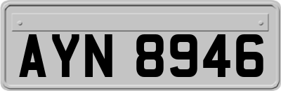 AYN8946