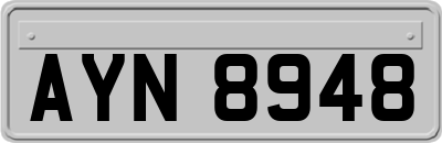 AYN8948