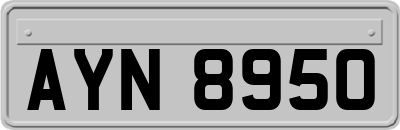 AYN8950