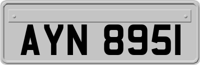 AYN8951