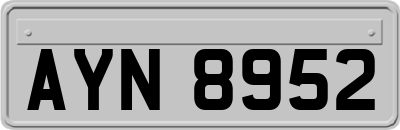 AYN8952