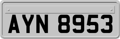 AYN8953