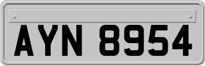 AYN8954
