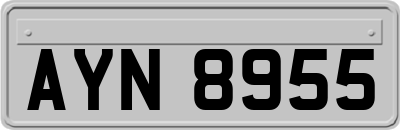 AYN8955