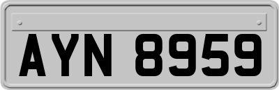 AYN8959