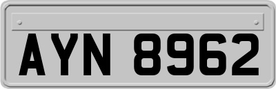 AYN8962