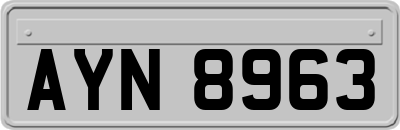 AYN8963