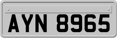 AYN8965