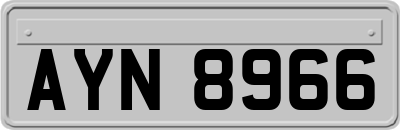 AYN8966