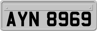 AYN8969
