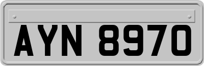 AYN8970
