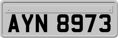 AYN8973