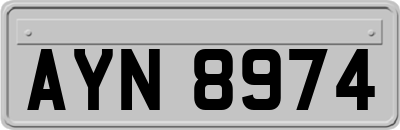 AYN8974