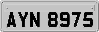 AYN8975
