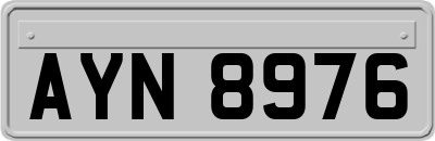 AYN8976