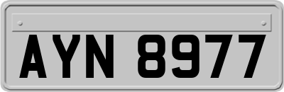 AYN8977