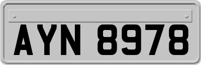 AYN8978