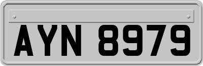 AYN8979