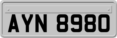 AYN8980