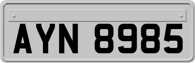 AYN8985