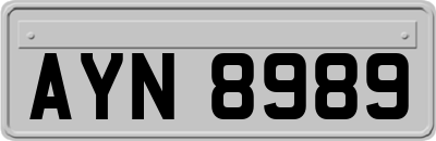 AYN8989
