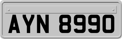 AYN8990