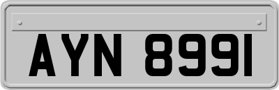 AYN8991