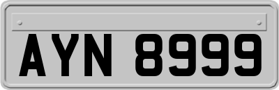 AYN8999