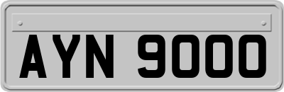 AYN9000