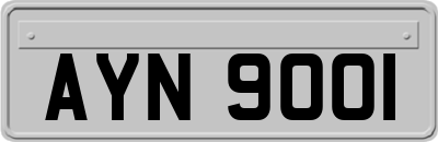 AYN9001