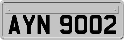 AYN9002