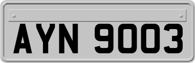 AYN9003