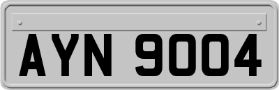 AYN9004