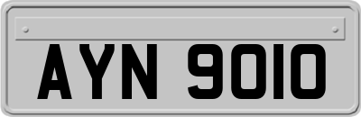 AYN9010