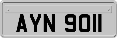 AYN9011