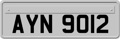 AYN9012
