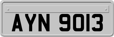 AYN9013