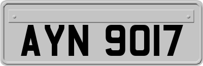 AYN9017