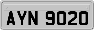 AYN9020