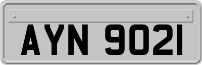 AYN9021