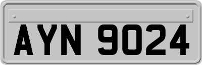AYN9024