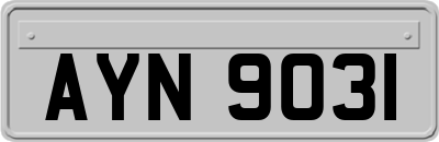 AYN9031