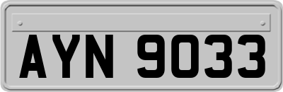 AYN9033