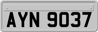 AYN9037
