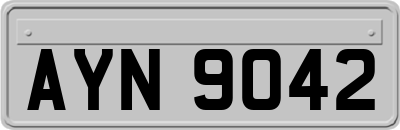 AYN9042