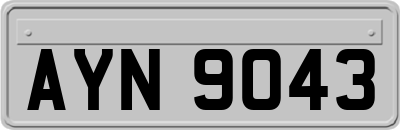 AYN9043