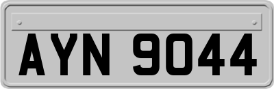 AYN9044